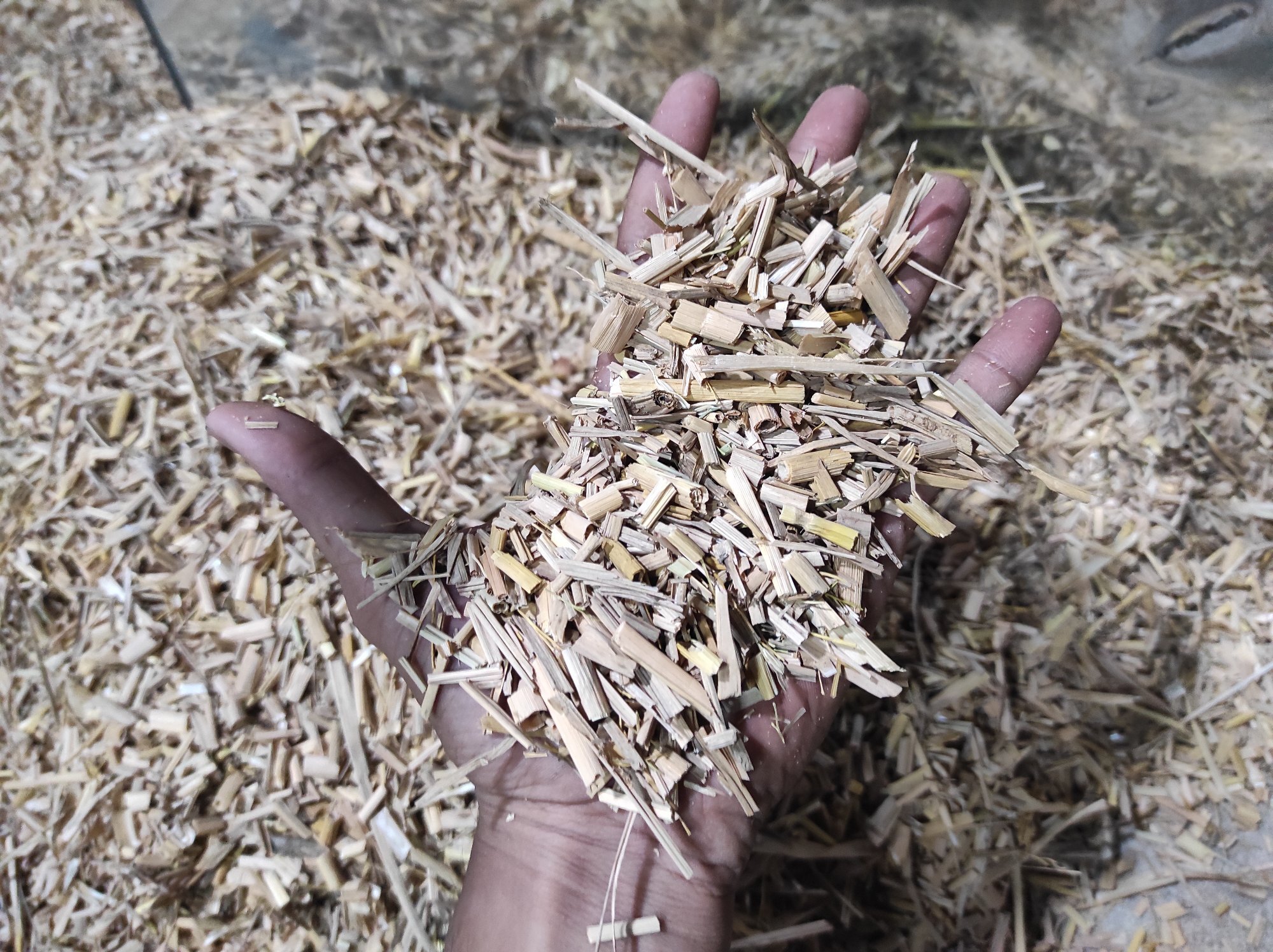 Chaff Cutter With Motor