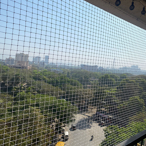 पक्षी जाल