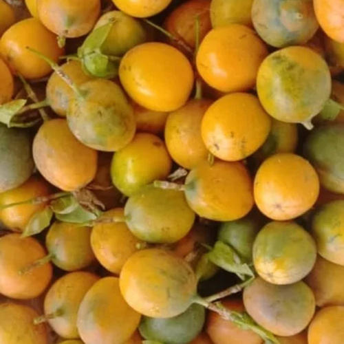 Organic Fresh A Grade Sweet Passion Fruit