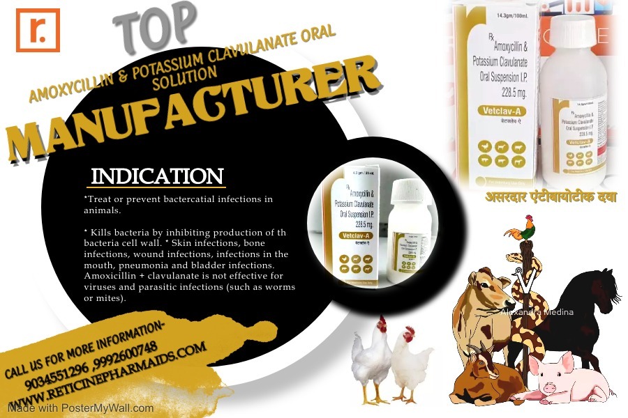 Pet Products Manufacturer In Sikkim
