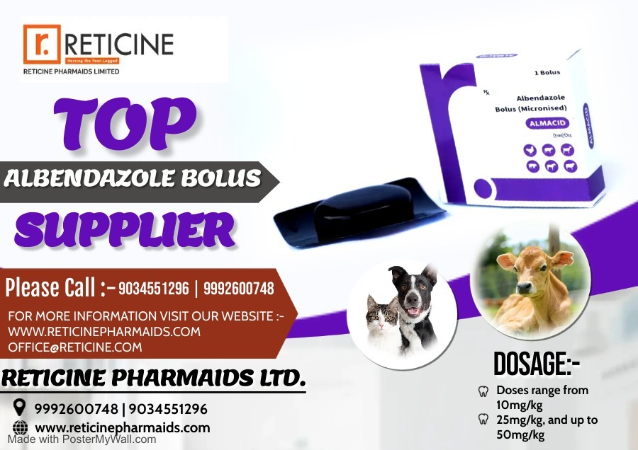 Pet Products Manufacturer In Sikkim