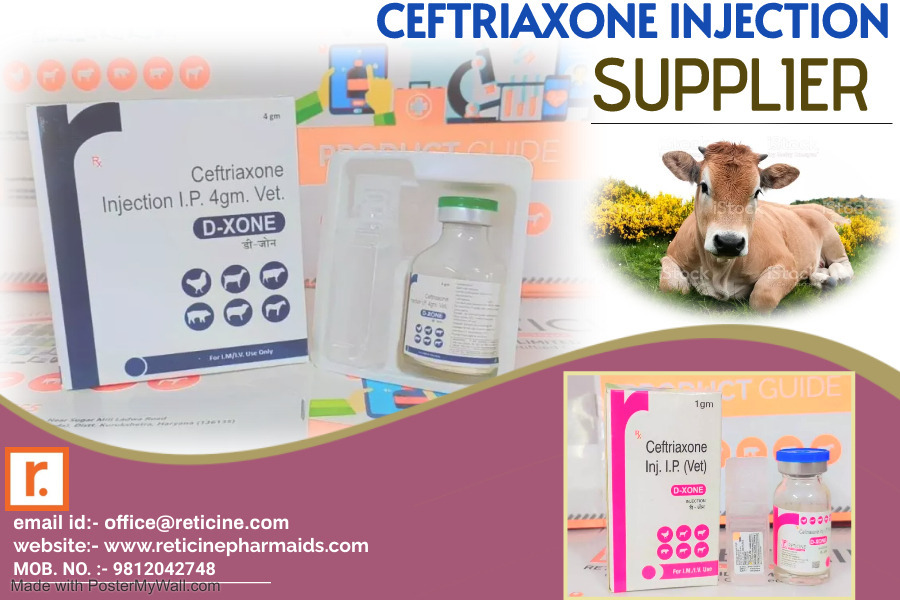 Pet Products Manufacturer In Sikkim