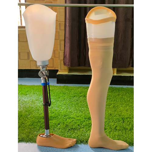 Knee Joint Prosthesis - Color: Natural