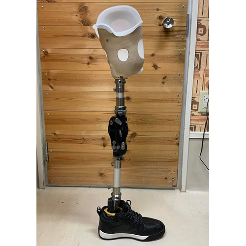 Knee Joint Prosthesis - Color: Natural