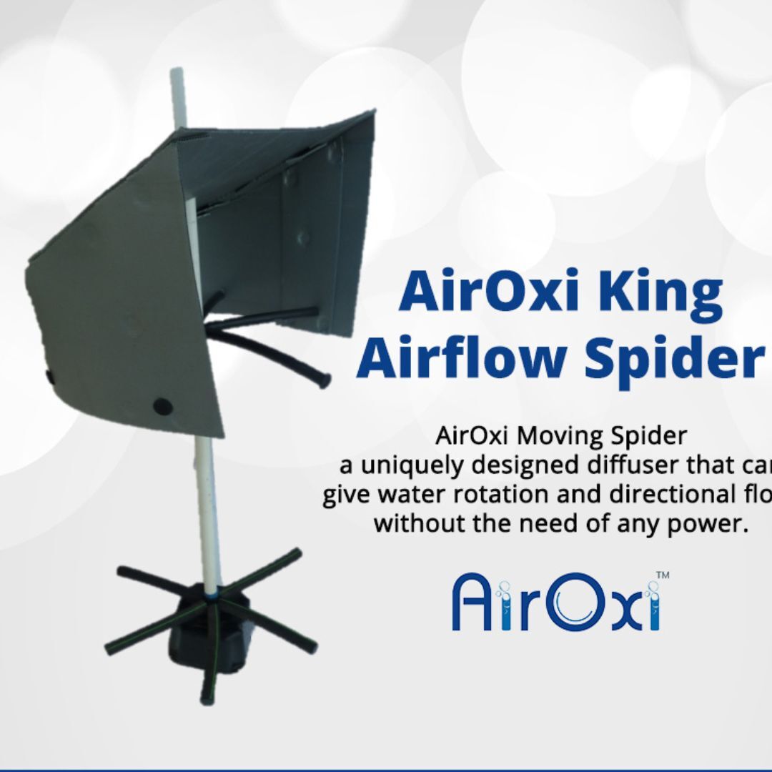 Airoxi King Spider - Color: Black