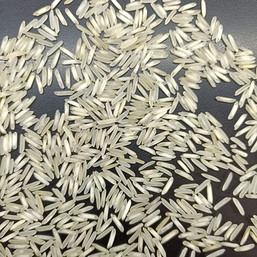 White 1509 Steam Rice