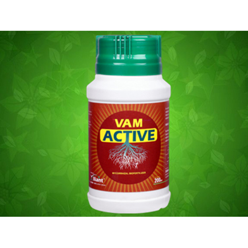 वैम एक्टिव