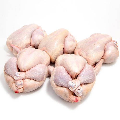 Fresh Frozen Chicken - Boneless First-Class Chicken Body Parts, Frozen Processing Style, Preserves Original Flavor