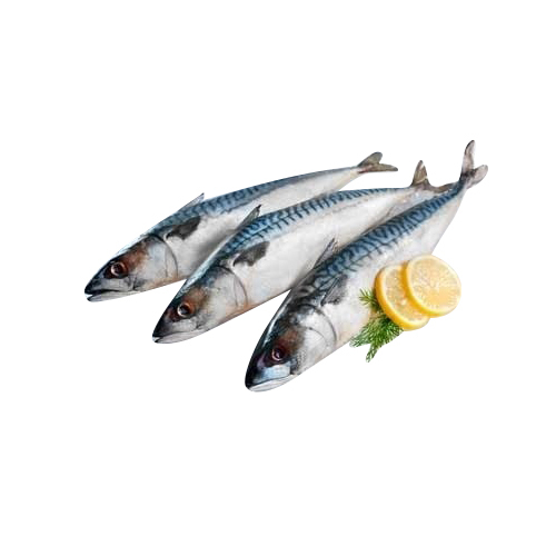 Fresh Frozen Fish - Smoked Whole Fish, Vacuum Pack | Nil Moisture Content, Ideal for Distributors and Food Service Providers