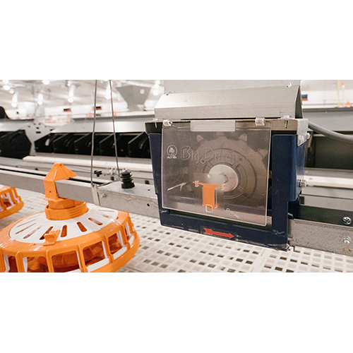 Steel Poultry Feeding System