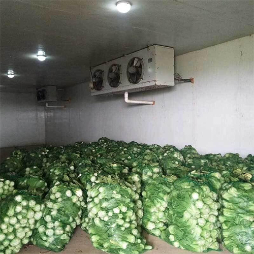 Stainless Steel / Puf Vegetable Cold Storage Room