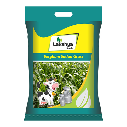 Sudan Grass Seeds - Cultivation Type: Common