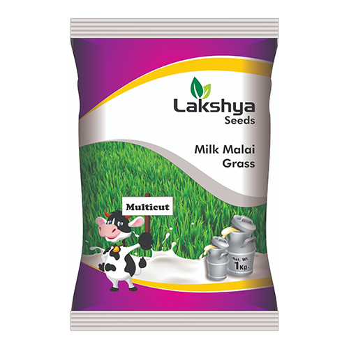 Common Milk Malai Grass Seeds