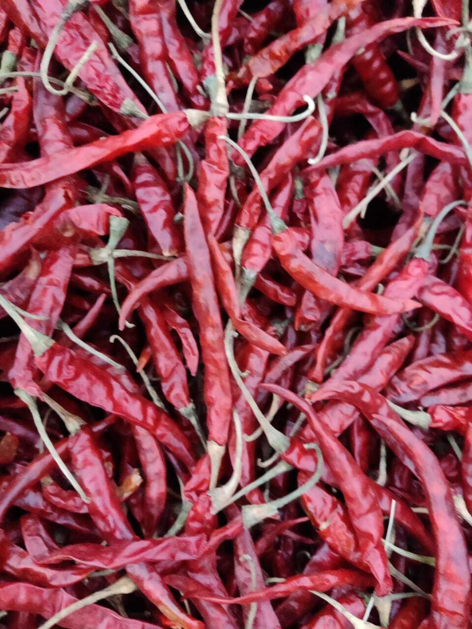 Dry Red Chilly - Food Grade Solid Red Pepper, 12 Months Shelf Life | Store In Dry And Cool Place