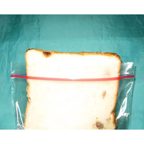 Transparent Sandwich Zipper Bag