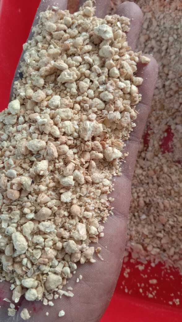 Soya Bean Doc