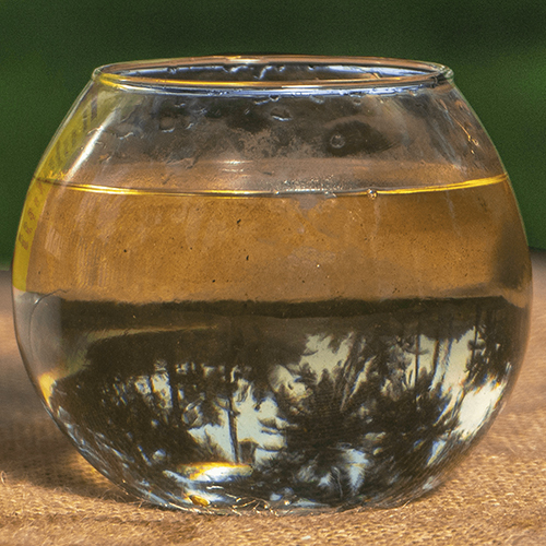 Bio Fungicides Usage: To Control The Activity Of Plant Pathogenic Fungi And Bacteria.