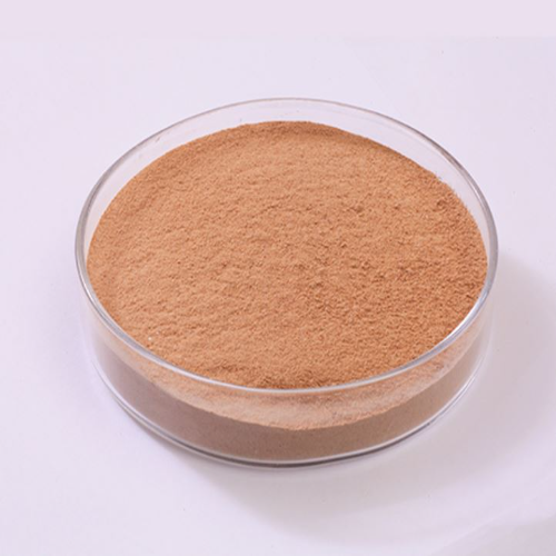 Protease Enzyme (Detergent) - Cas No: 9014-01-1