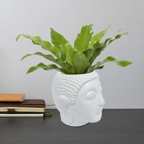 6.4 Inch Buddha Pot - Material: Plastic