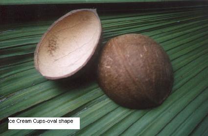 नारियल शैल आइसक्रीम कप