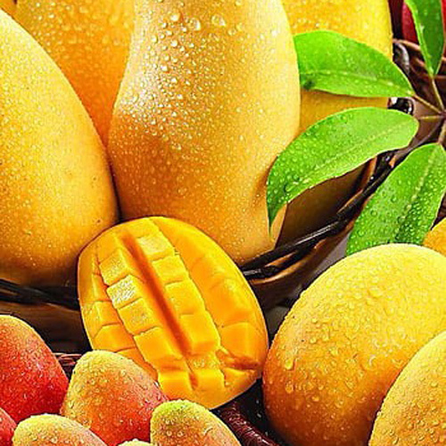 आम का गूदा - ईज़ीप्रोक सॉल्यूशंस प्राइवेट लिमिटेड