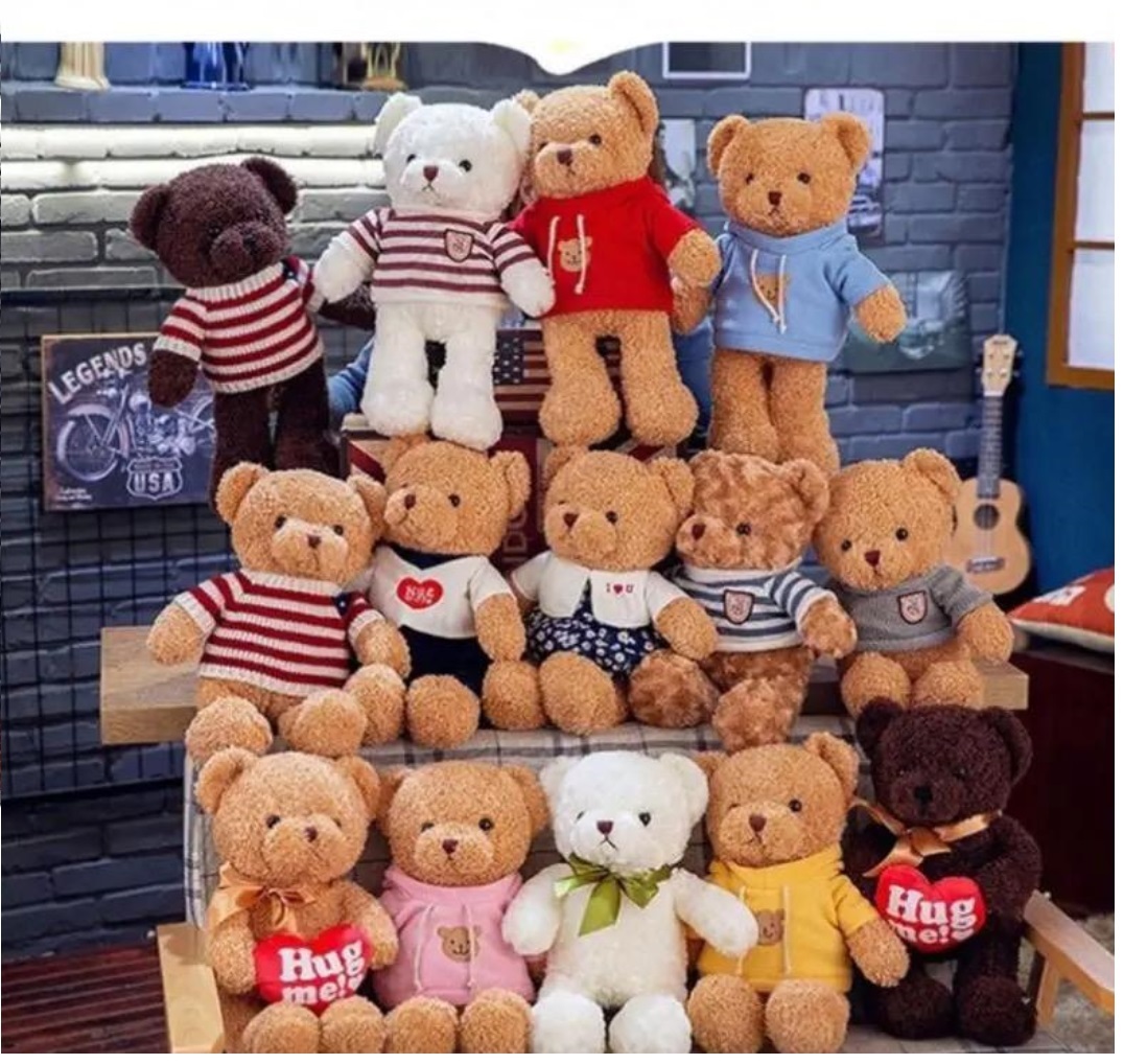 Teddy Bear - Color: Multicolor