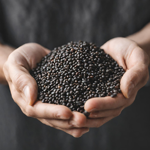 Organic Black Lentil (Urad Dal)