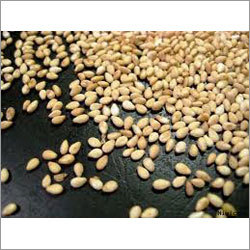 तिल के बीज