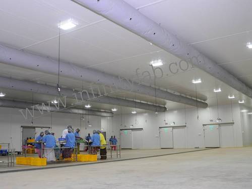 Cold Storage