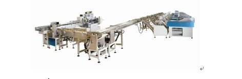 Noodle Packing Machine