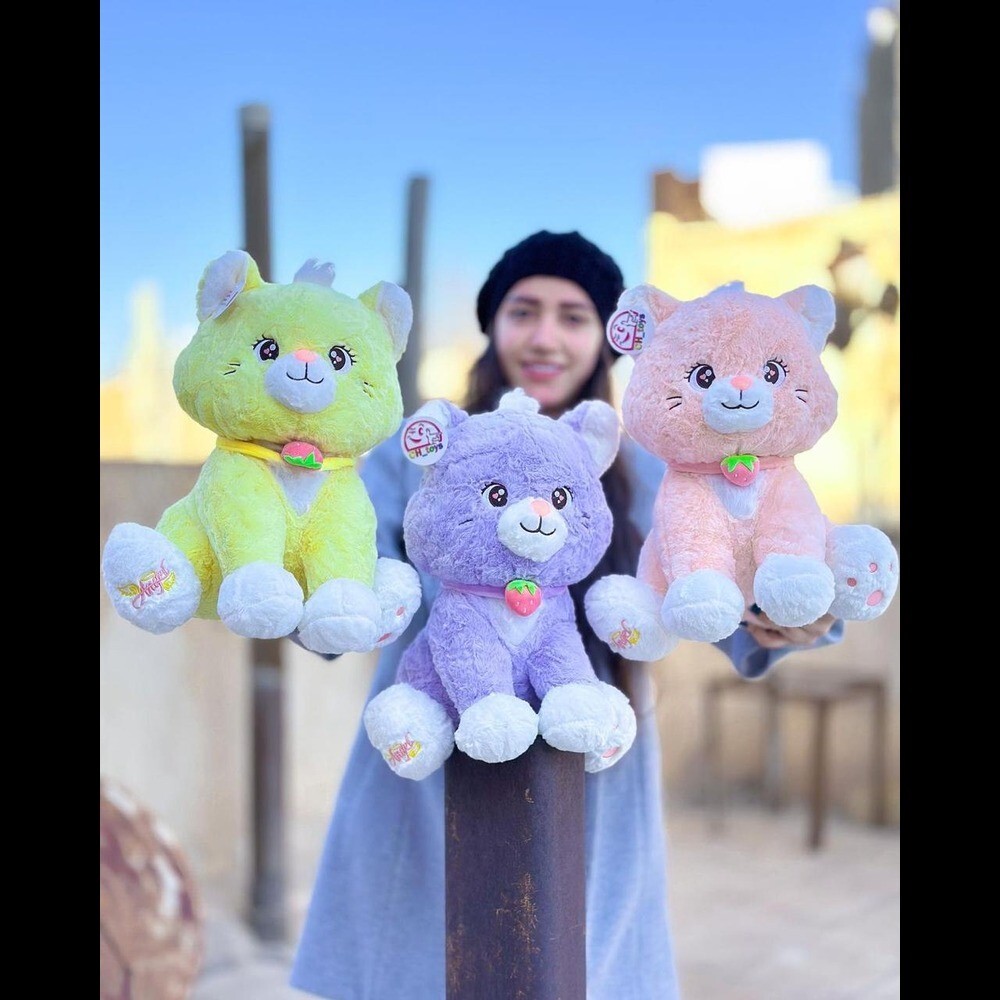 Cat Toy