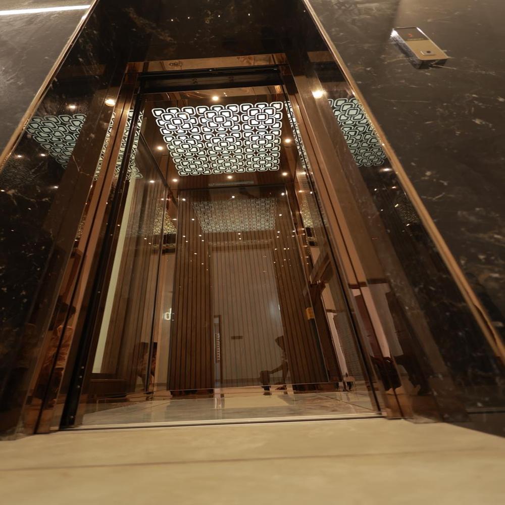 Passenger Home Lift - Capacity: 408 Kg