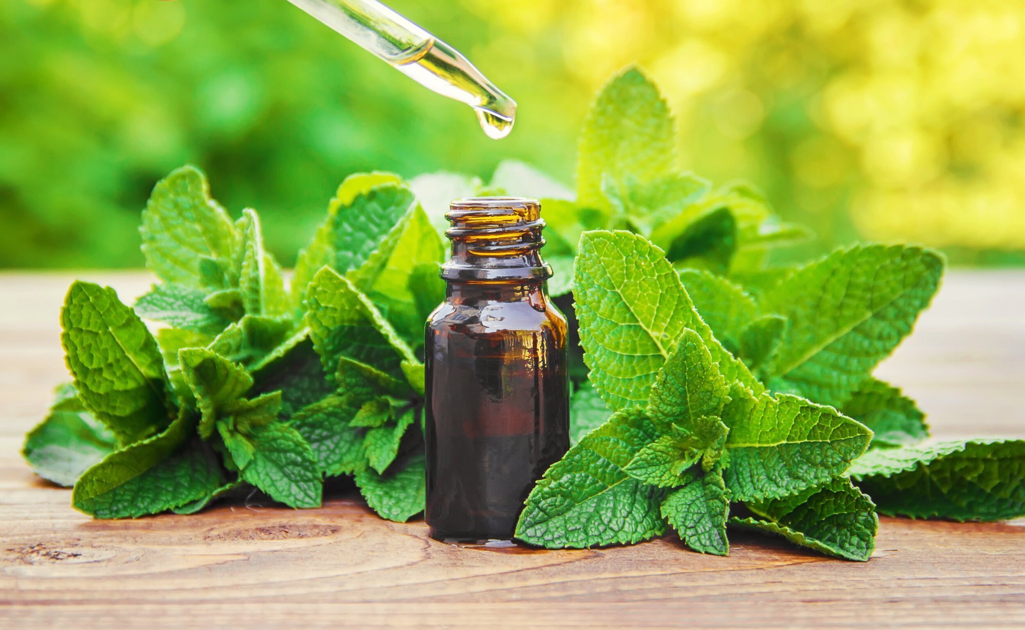 Peppermint Oil - Cas No: 68917-18-0
