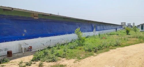 स्वचालित मुर्गी पालन परदा प्रणाली