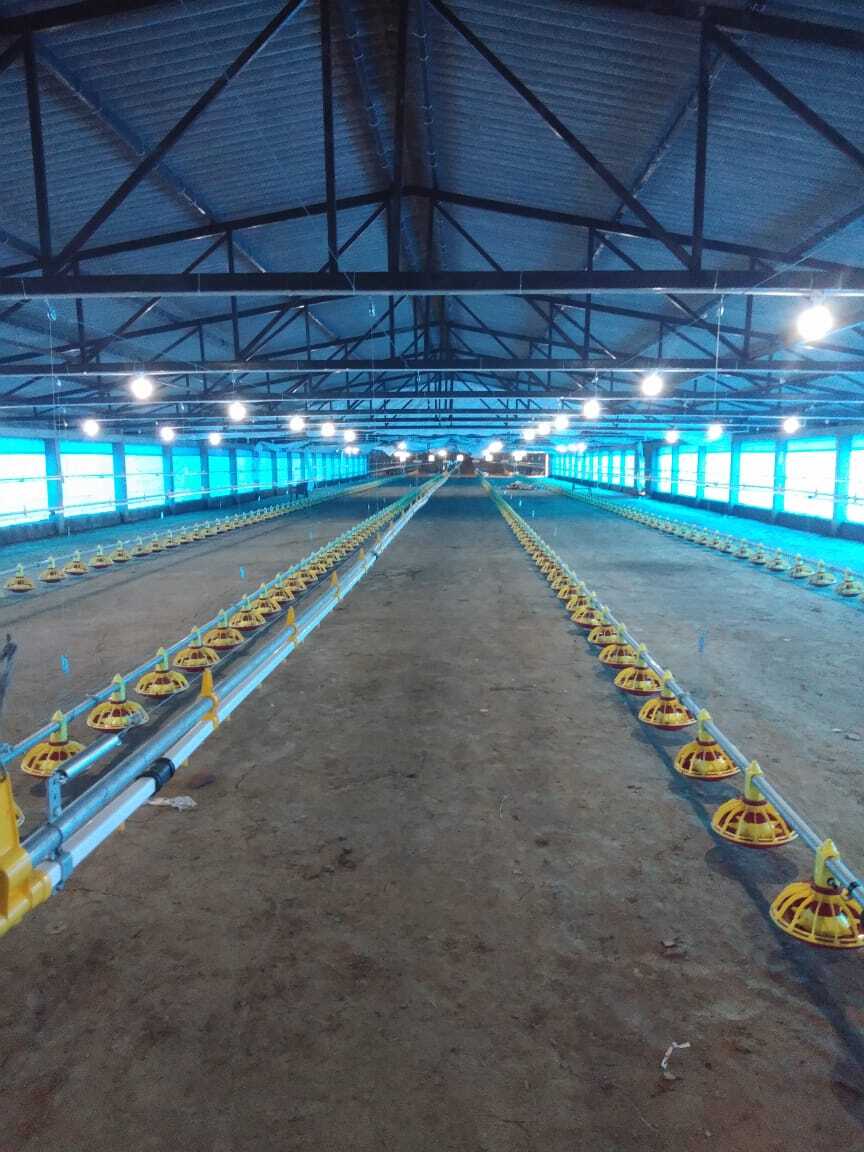 Automatic Poultry Curtain System - 90-300 Gsm Fabric, Custom Size | Automatic Feeding System, Advanced Technology Integration