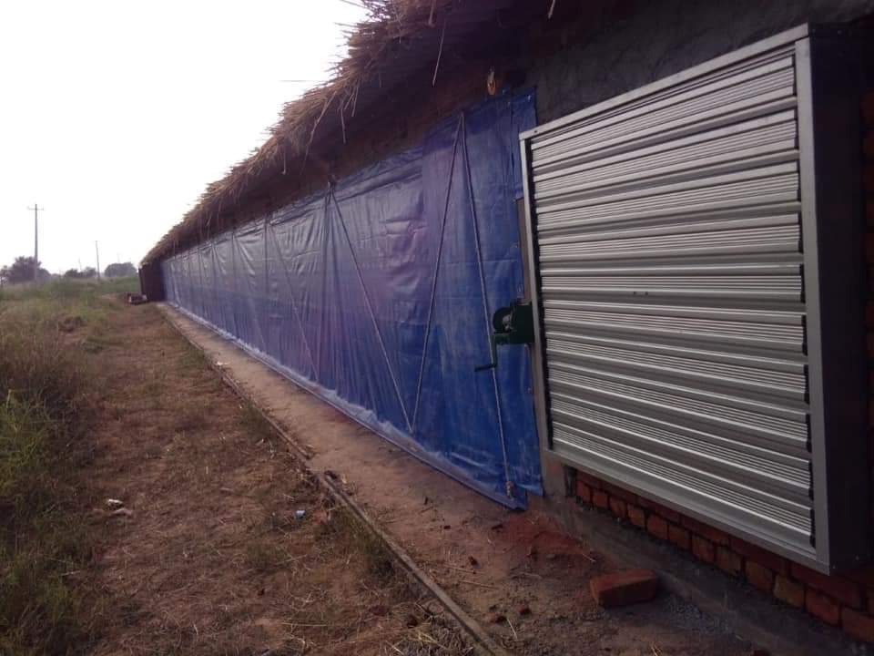 Automatic Poultry Curtain System - 90-300 Gsm Fabric, Custom Size | Automatic Feeding System, Advanced Technology Integration
