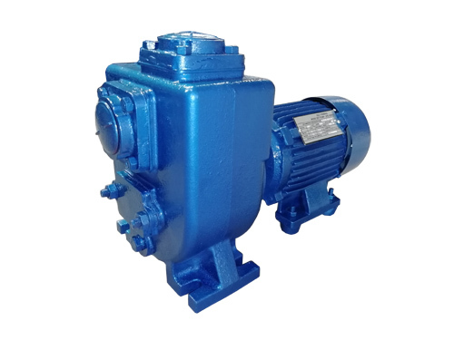 Self Priming Centrifugal Mud Monoblock Pump Application: Cryogenic