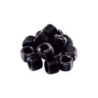 NPT ग्रब स्क्रू