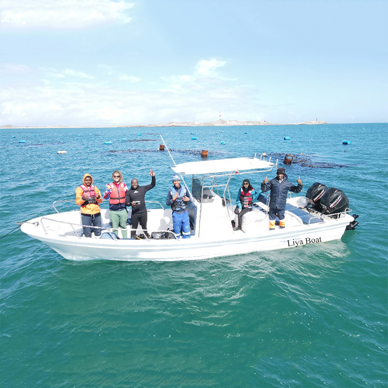 Liya 7.6m Center Console Fiberglass Boat Motor Fishing Boat