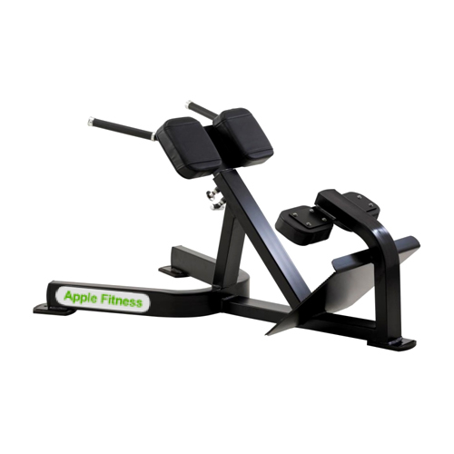 Fw-320 Gym Back Extension Application: Tone Up Muscle