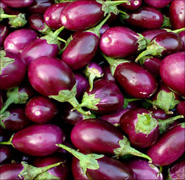 बैंगन