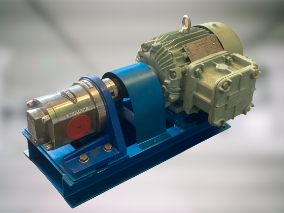 Ss Rotary Gear Pump - Ss 316 Material, Electric Powered, Blue And Silver | Durable, Hygienic, Efficient Fluid Transfer For Food Grade And Industrial Applications