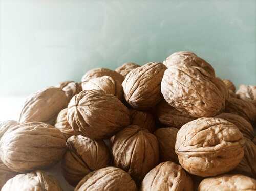 Californian Walnut, Chandler Variant