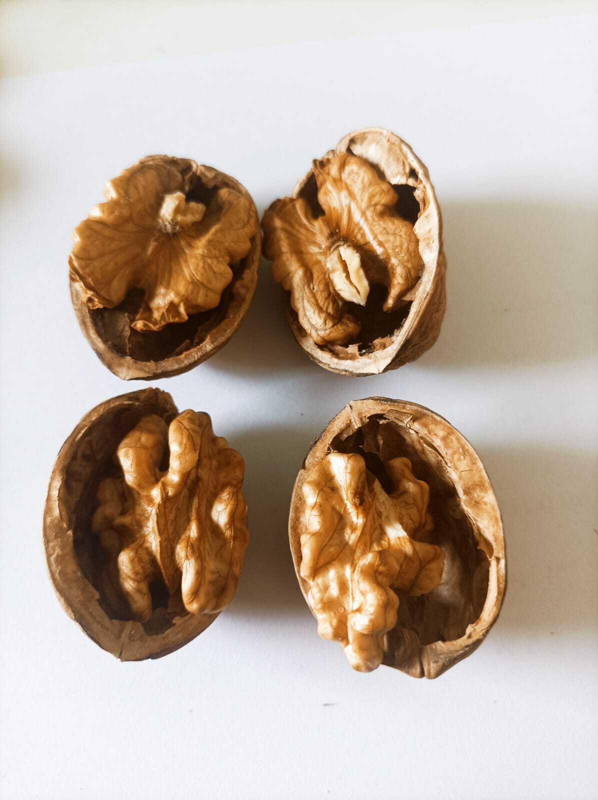 Californian Walnut, Chandler Variant