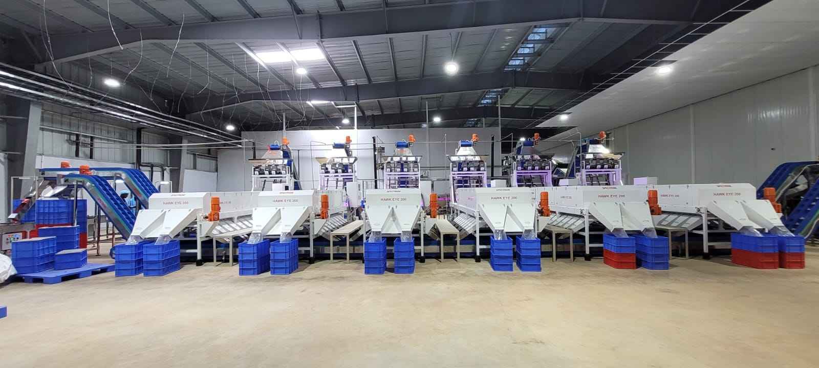 Cashewnut Size Grading Machine - Capacity: 1-12 T/hr