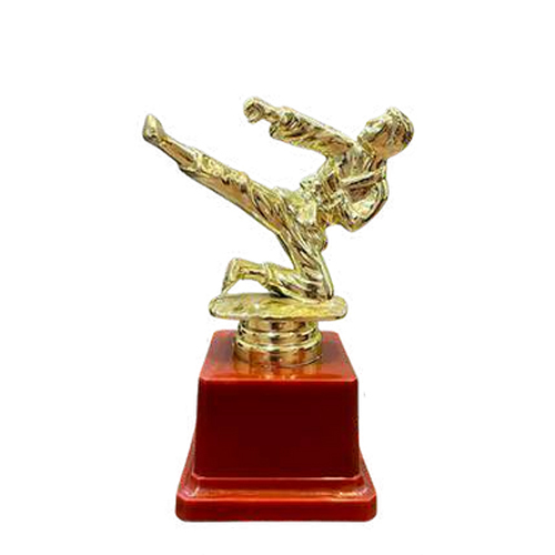 Ri 1237 Fiber Trophy Cup - Fiber Material, 6 Inch Size, Various Colors | Sport Theme, Competitive Style, Includes Holder