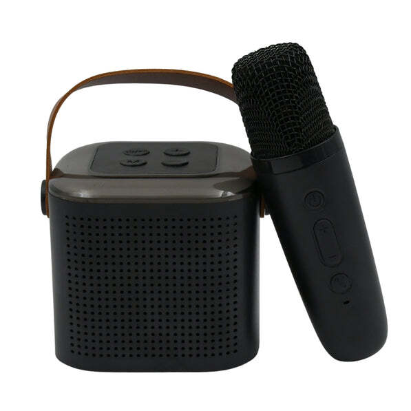 Wireless Speaker Microphone Set
