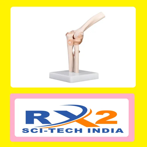 कोहनी जोड़ मॉडल