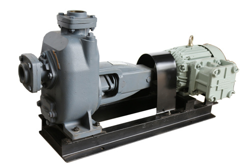 Self Priming Centrifugal Mud Bare Shaft Coupled Pump Application: Sewage