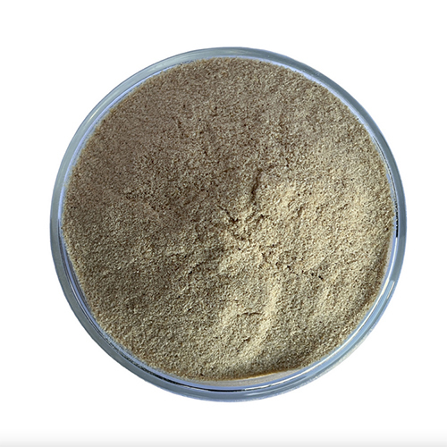 Cassia Tora Meal - Dried Powder, 50 KG Packaging Size | 30-32% Protein, 12-13% Fiber, 4-5% Moisture, Feed Grade, Sugar Free